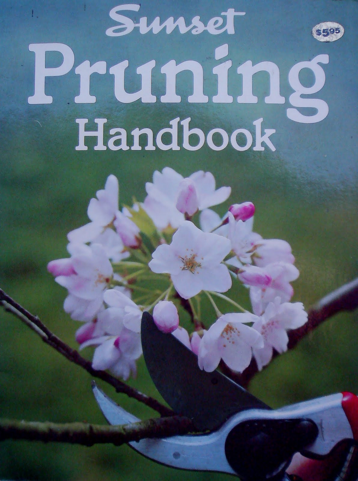 [11feb'10,pruning..cover.jpg]