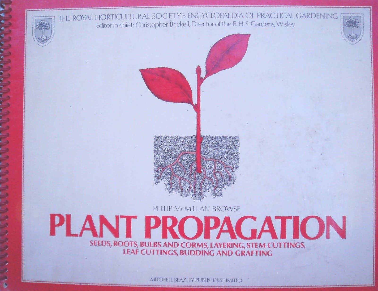 [16feb'10,plant..cover.jpg]