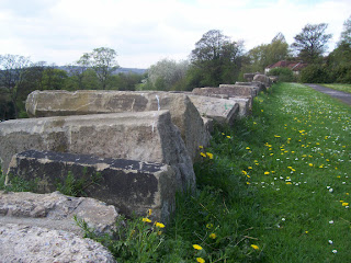Hodgkin Park Hodgkin Park