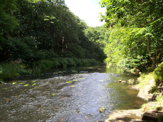 Chopwell Woods Chopwell Woods