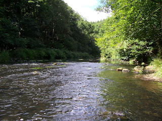 Chopwell Woods Chopwell Woods