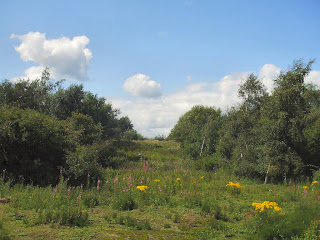Shibdon Pond Nature Reserve Shibdon Pond Nature Reserve
