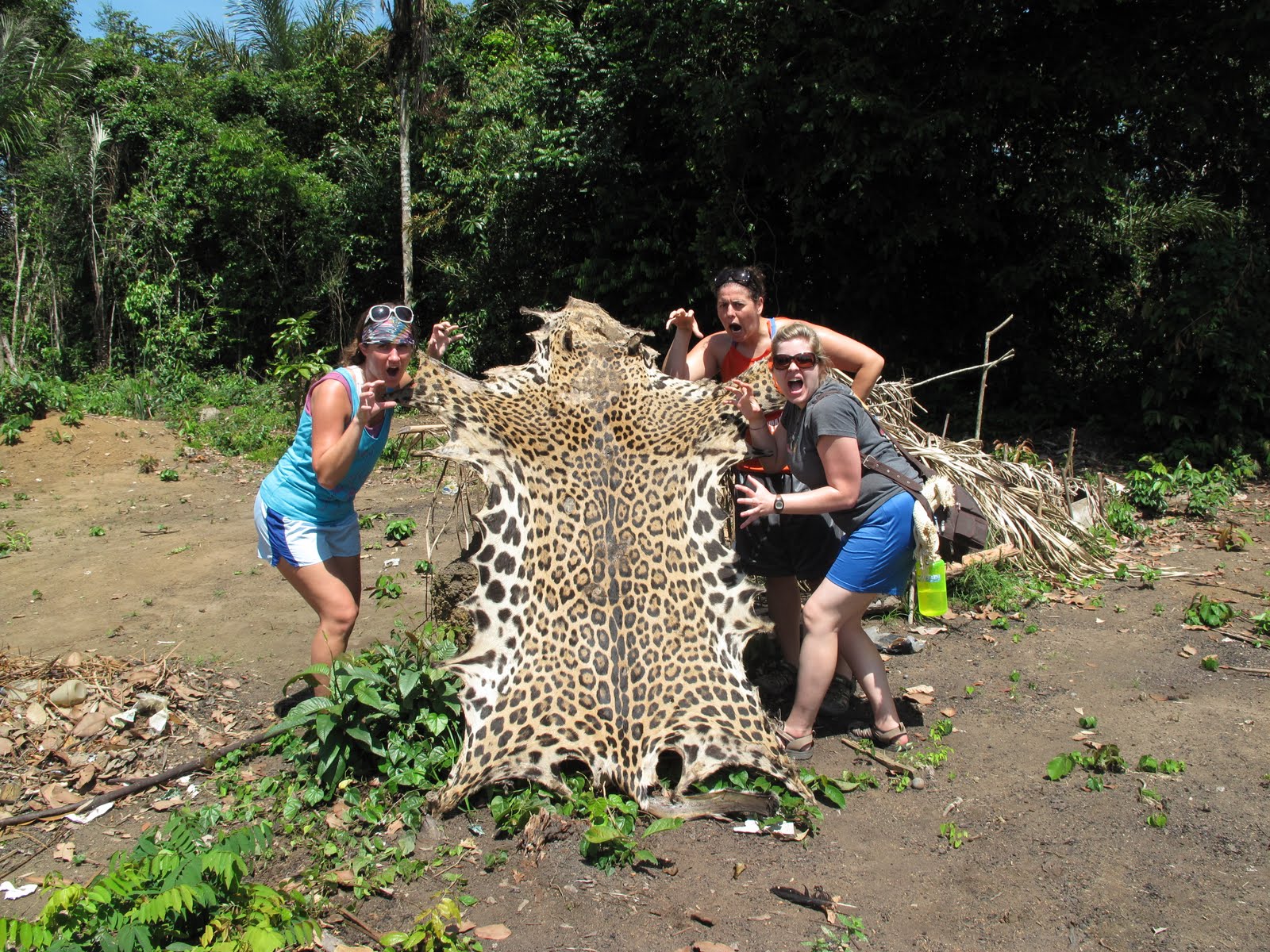 Life in the Amazon Jaguar Skin
