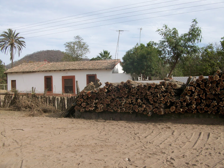 Vivienda rural con madera de brasil