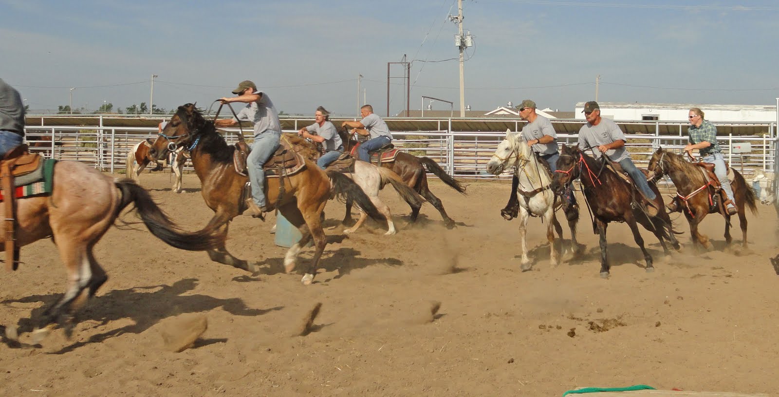 Mustang Dreams.... Hutchinson, KS Open House Saving Horses