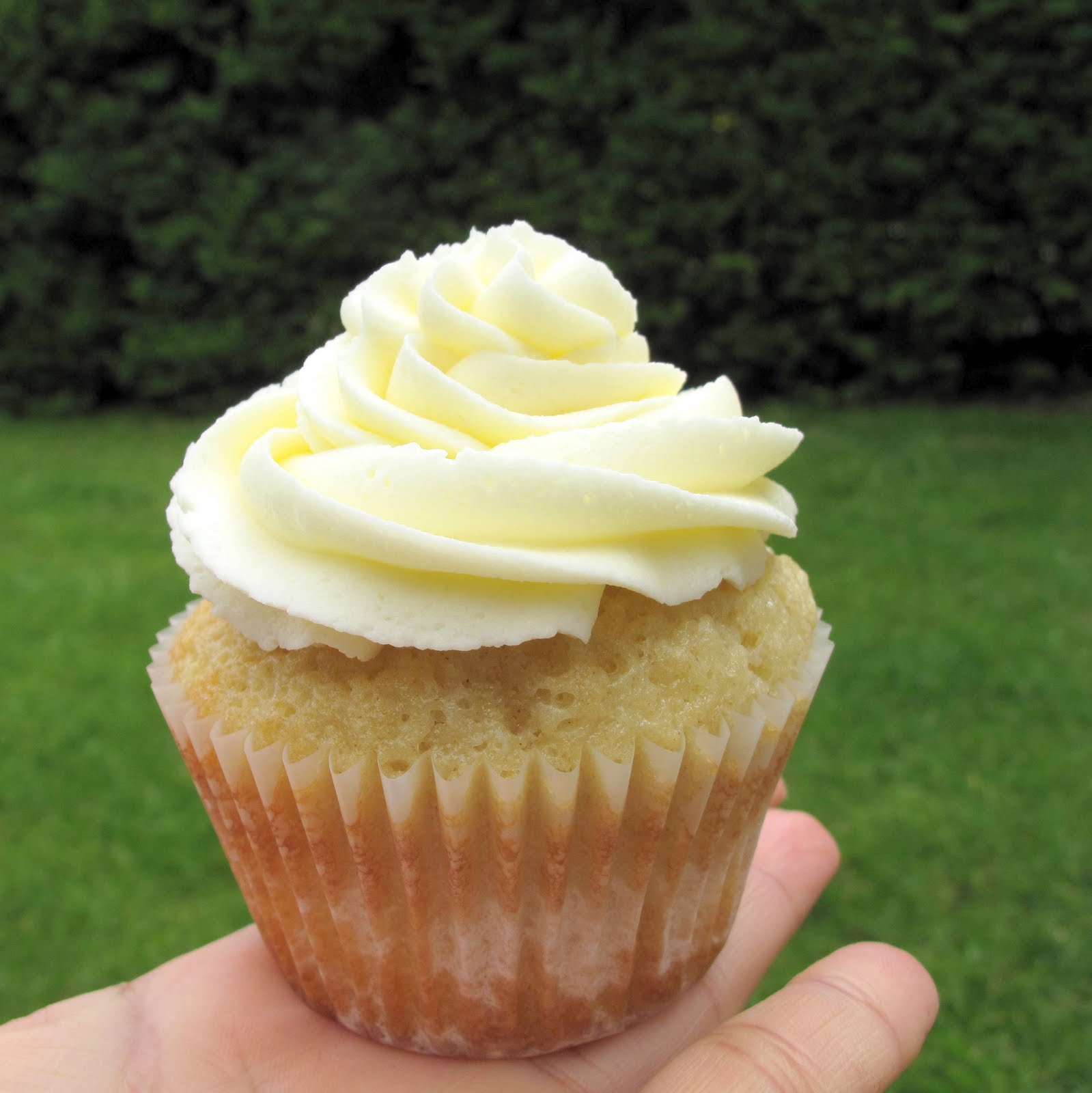 bakies: Vanilla cupcakes with vanilla frosting