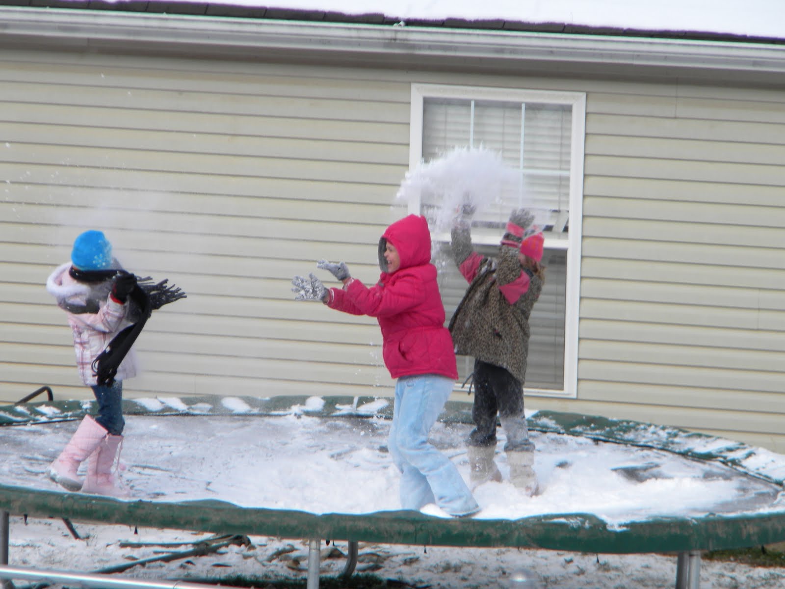 [snow+day+023.jpg]