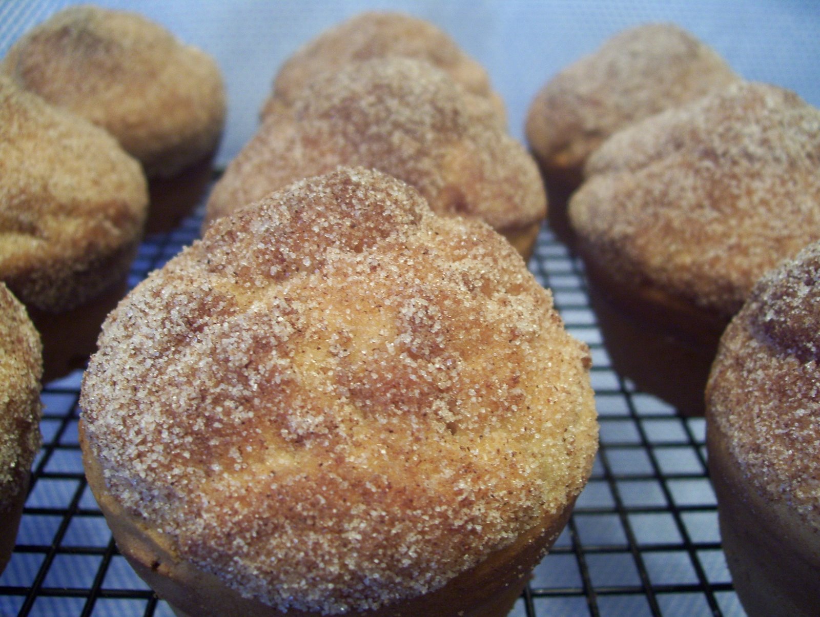 [doughnut+muffins+001.jpg]