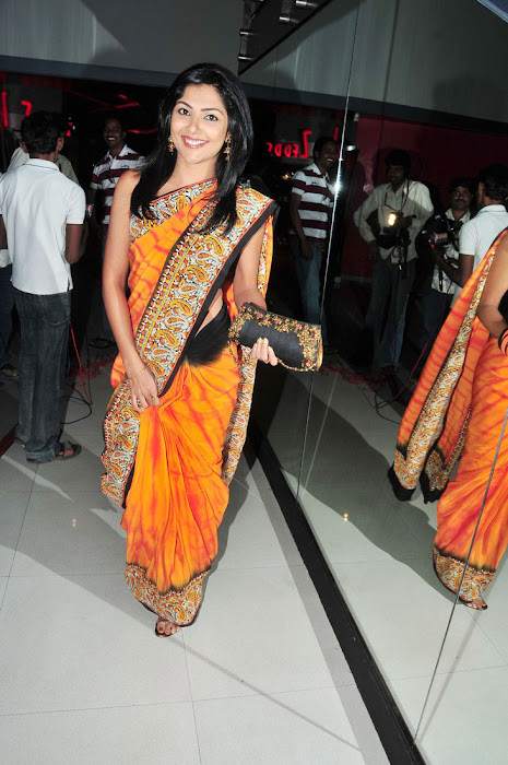kamalini mukherji at nagavalli movie premiere saree photo gallery