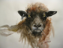 sheep watercolor paintings painting wool watercolors sombrero found she nature winter colorful ewe churro navajo animals