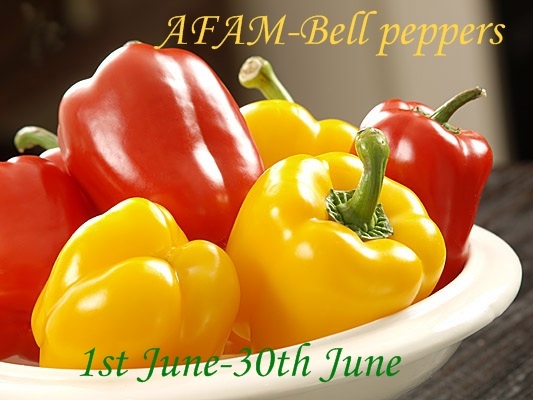 [Bell+peppers+logo.jpg]