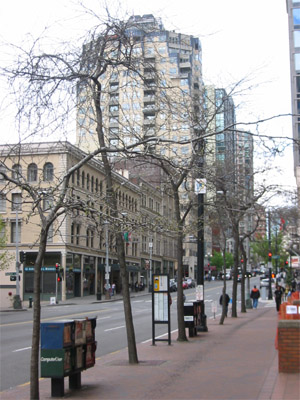 [seedline-02-300x400-fed.jpg]