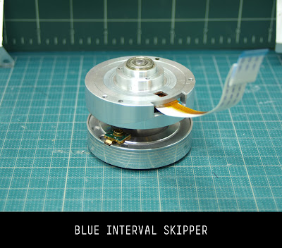 blue interval skipper