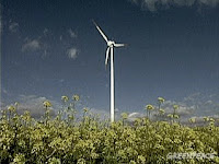 Wind potential in Ontario - courtesy of Greenpeace, WWF