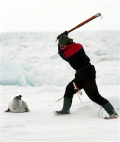 Stop the seal hunt!