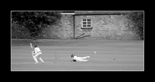 cricket, oxford