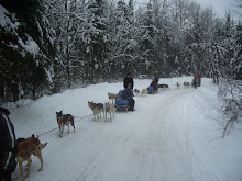 Business and Finance