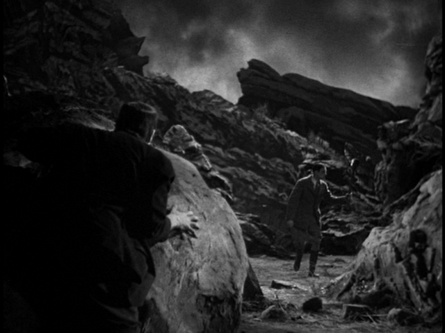 Frankenstein: Chapter 16