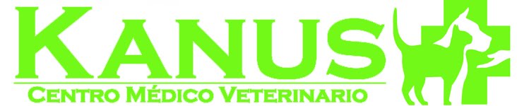 KANUS CIRUGÍA