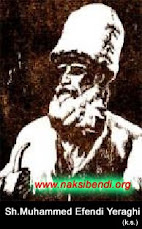 Mawlana Syaikh Muhammad Efendi Yaraghi q.