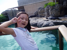 the sea lion exhibit