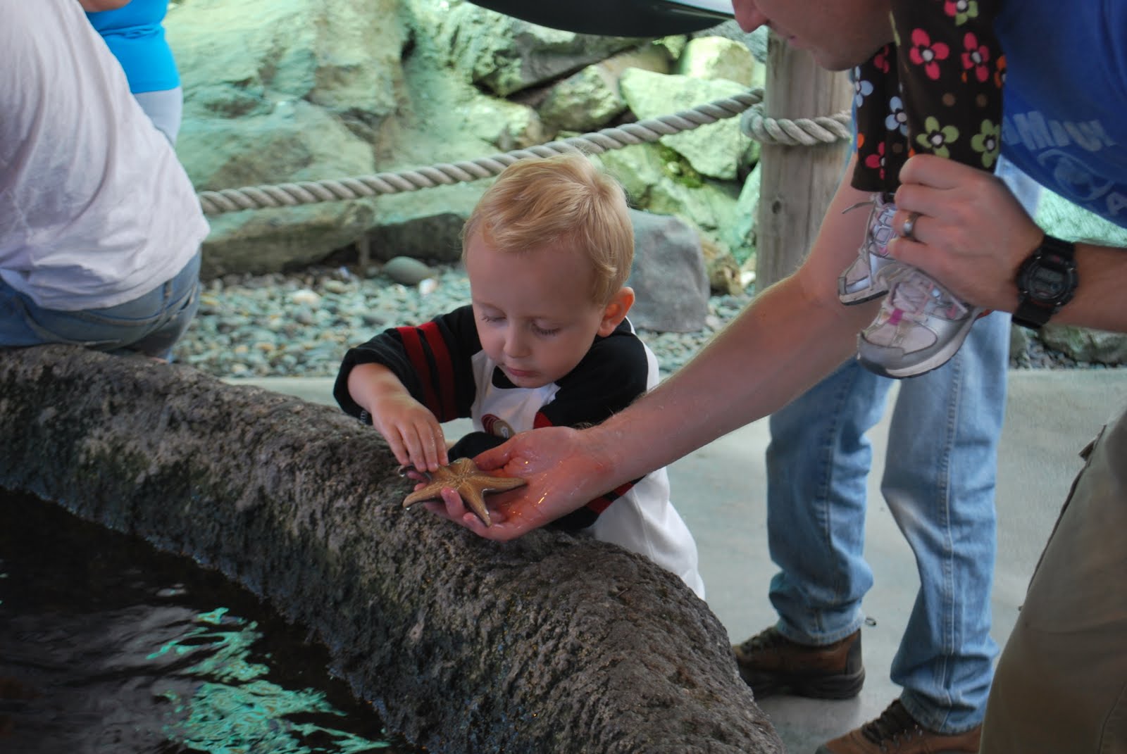 Baker Family Blog Crescent City Aquarium