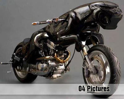 Cat Motorcycle pictures