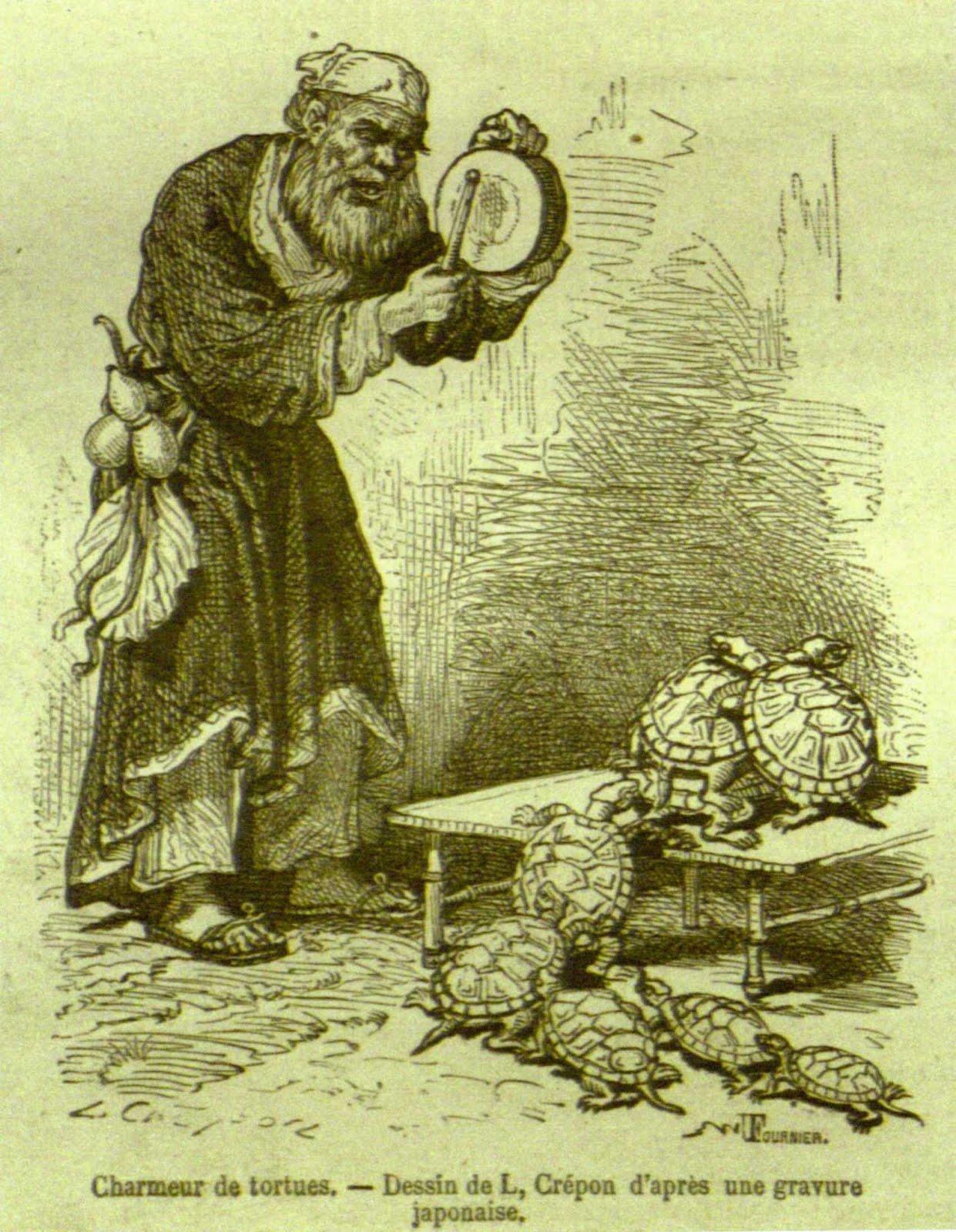 images tortues humoristiques