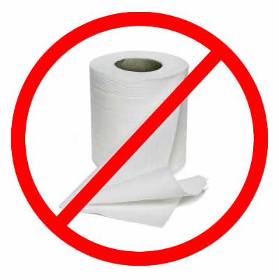Not Buying Anything: Make It Last: Toilet Paper (Or How To Wipe With One Square Or Less)
