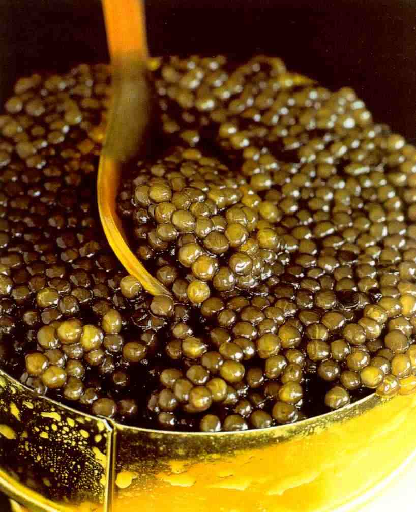 [caviar_in_jar.jpg]