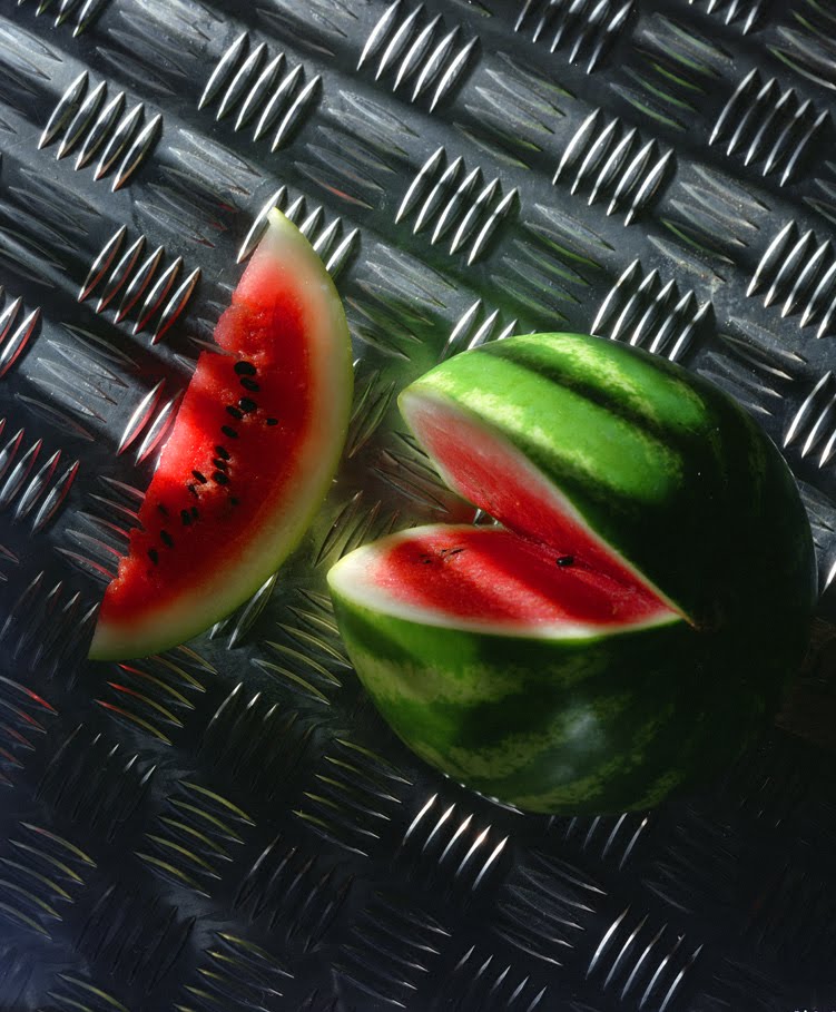 Le Blog du Melon d'eau 2010