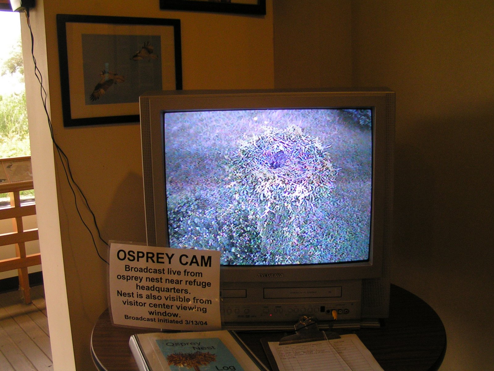 [VA+Beach-Rehoboth+094.JPG]
