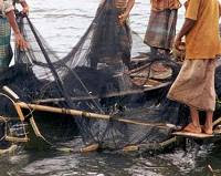 Traditional net fishing