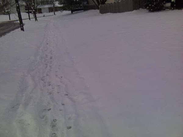 Typical Chicago winter