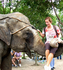 Elephant love!