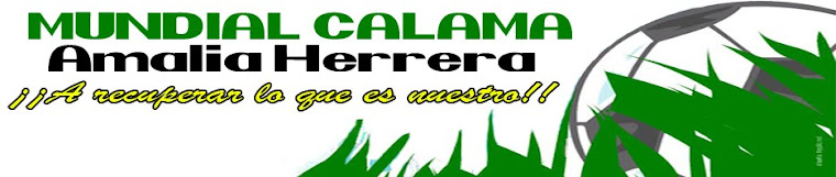 Mundial Calama Amalia Herrera