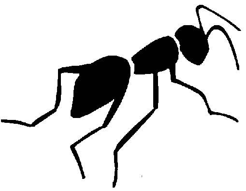 [ant.png]