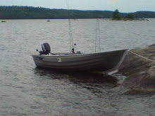Vår andra båt, Linder 440 Fishing
