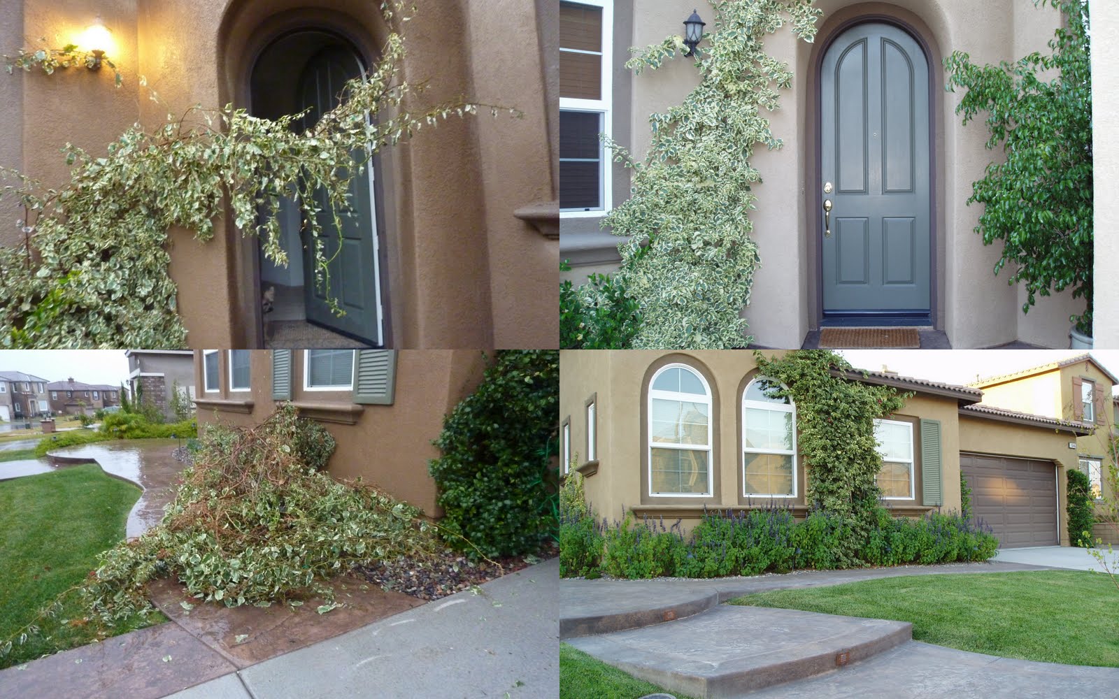 [2009-08-31+house.jpg]