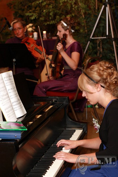 The Musicians