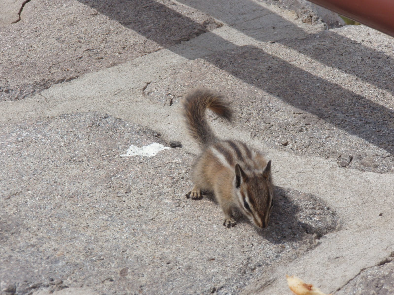 [P8150024.JPG]