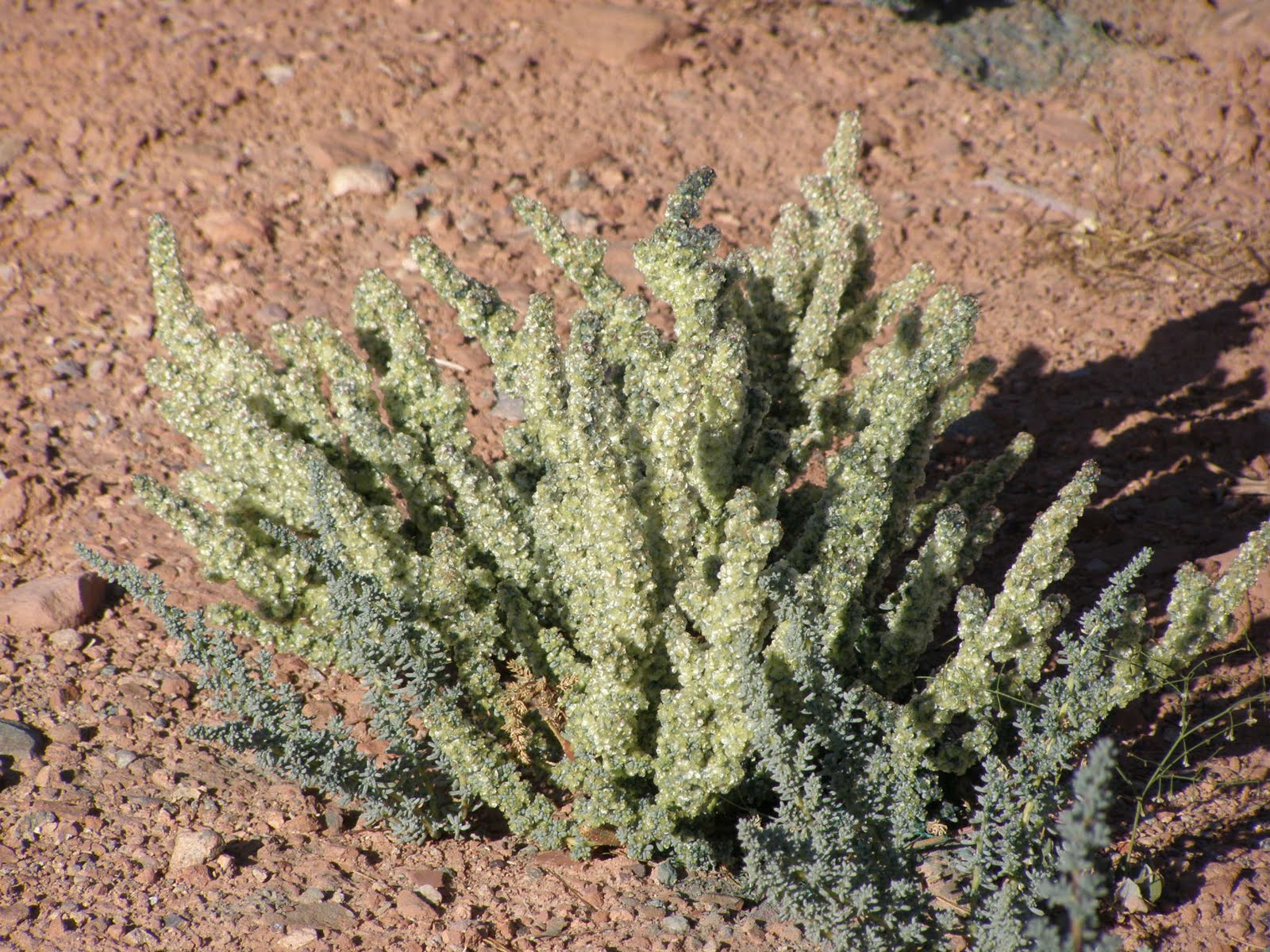 [P8272156.JPG]