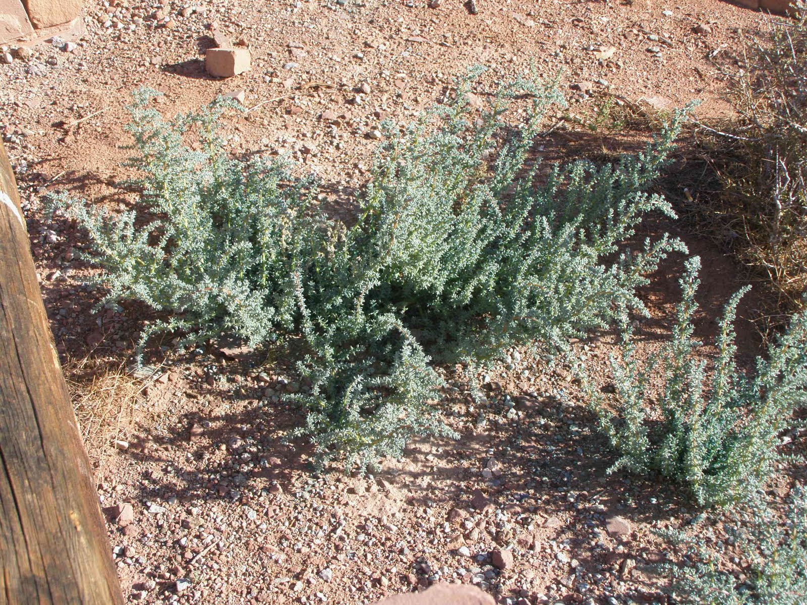 [P8272137.JPG]