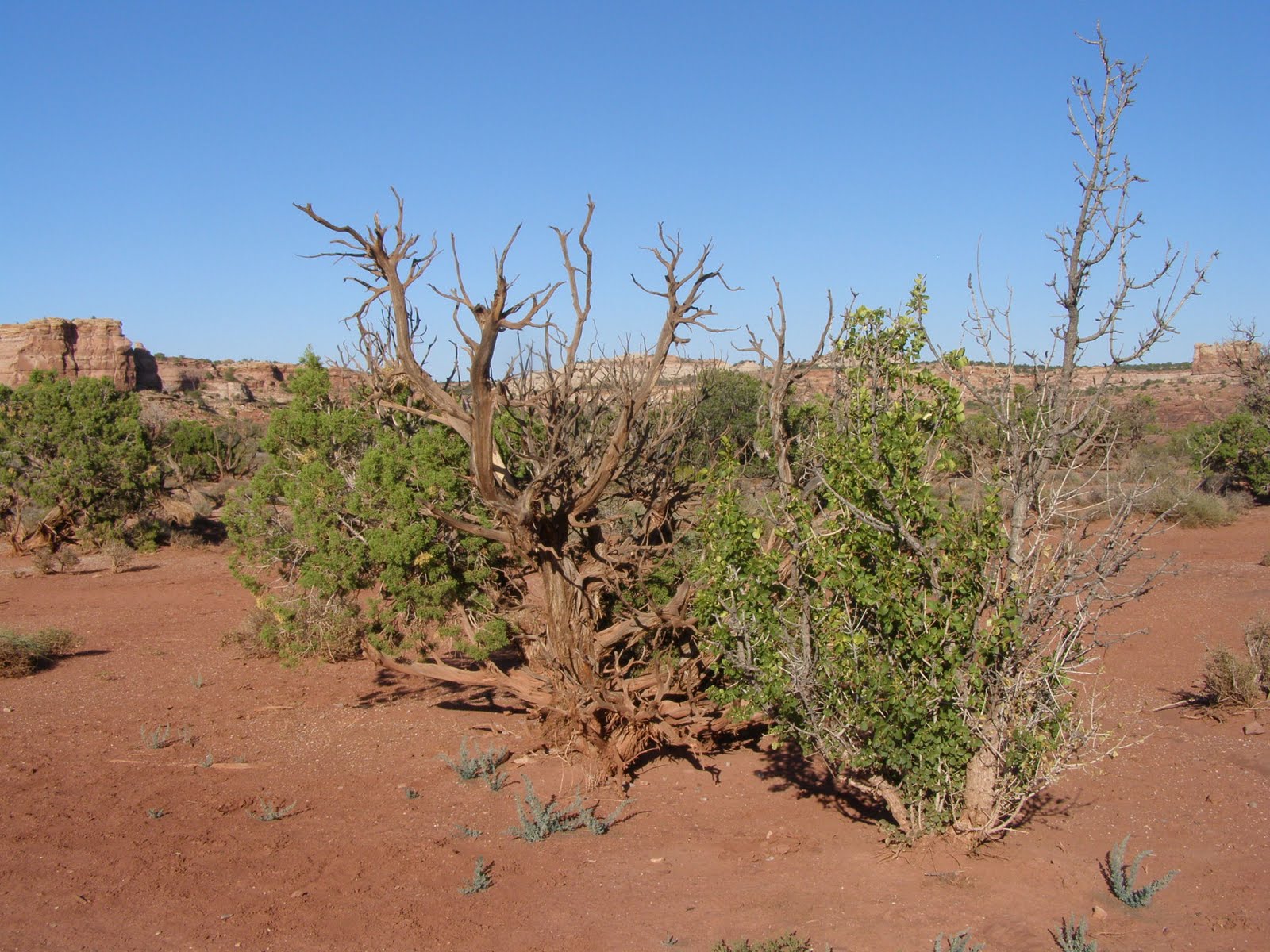 [P8272154.JPG]