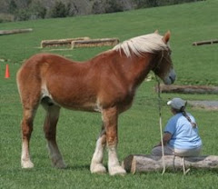 Parelli pal: Tenley with Thunder