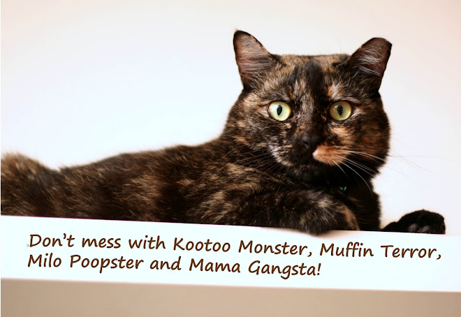 Don't mess with Kootoo Monster, Muffin & Milo!