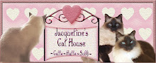 Jacquelines Cat House