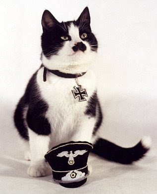 Hitler cat