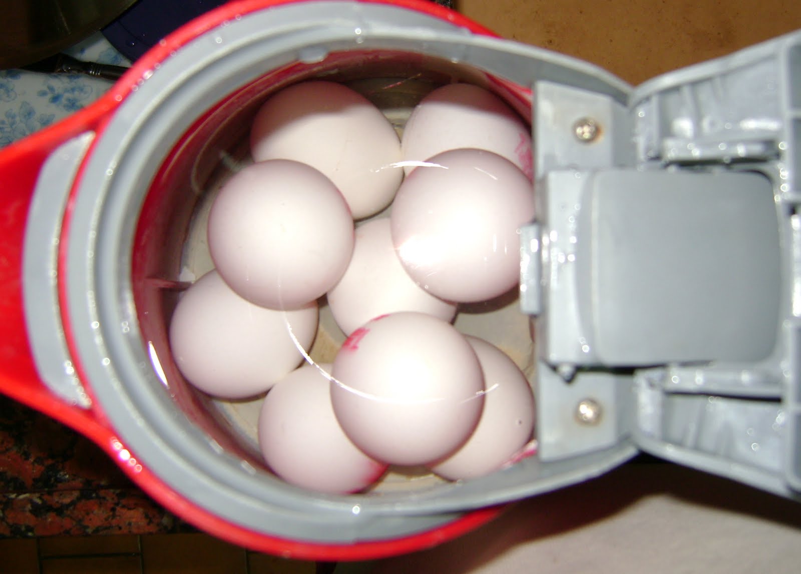 Cooking Outside the Box Make eggs in an Electric Kettle