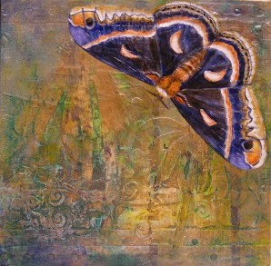 Cecropia silk moth, painting